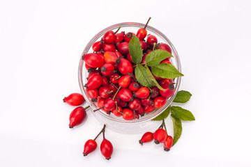 rose hip isolated