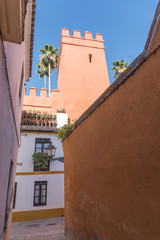 Street With Red Wall In Seville Andalucia, Spain
