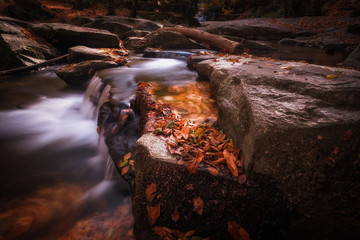 Beautiful Colors of the Fall and Waterfall