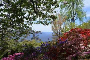 Blue Mountains Gardens