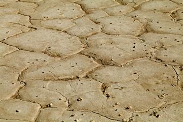 Cracked earth close-up