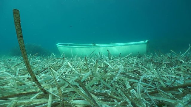 A small boat sunken on the seabed with leaves of Neptune grass, underwater scene, Mediterranean sea, Catalonia, Costa Brava, Spain, 60fps
