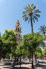 Fototapeta na wymiar The Great Mosque Cathedral Of Cordoba