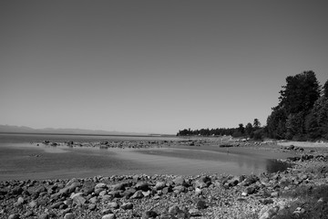 Naklejka premium seashore