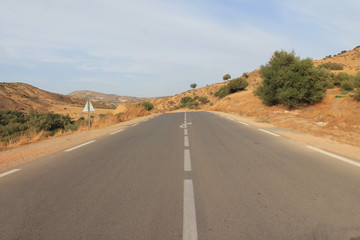 Africa,west Algeria : country  road in the mountain, green trees and plants spring time
