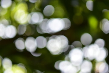 stunning bokeh and blurry backgrounds