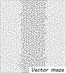 Maze vector illustration