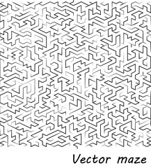Maze vector illustration