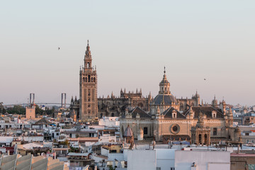 Fototapeta premium Seville Landscape