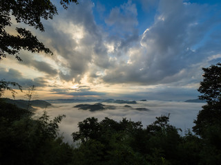 Obraz premium Mist on mountain at sunrise