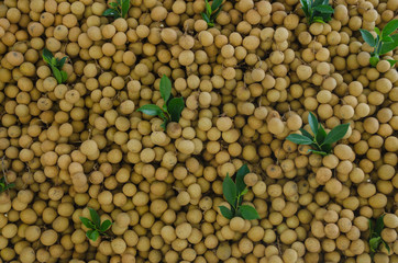  Longan fruit in market Thailand