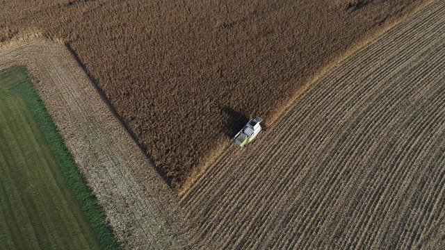 M&auml;hdrescher mit Traktor erntet Mais im Sp&auml;tsommer 