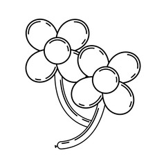 balloons in two flowers shape with petals and stem vector illustration