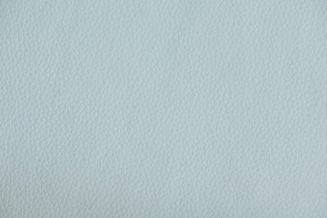 fine texture of the leather in close up