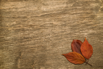 Yellow leaves on a wooden background