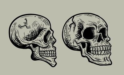 2 in 1 Retro vintage skull set. Vector illustration with grey background