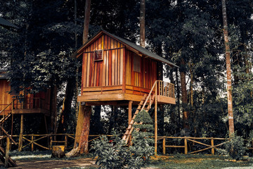 Wooden House on Tree