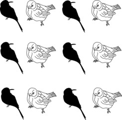 vector birds pattern on white background