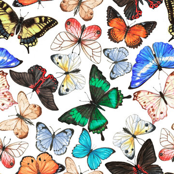 Hand drawn watercolor seamless pattern with colorful tropical butterflies on the white background.