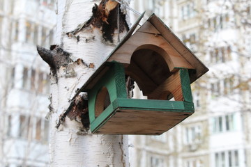 Feeder for birds.