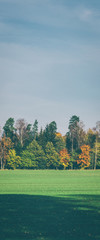 LINE OF TREES - Colorful autumn in the landscape of the natural environment
