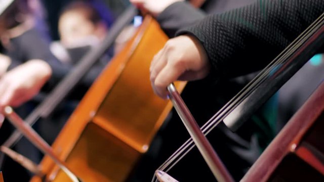 Woman hand playing violoncello with bow. Close up of female hand. Cello playing music background. Female musician playing bass-viol. 4k