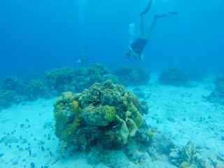 Scuba Diving Bay of Pigs