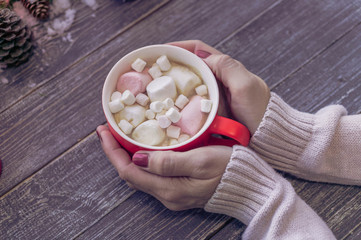 Female hands hold a cup with cocoa and marshmallows on a wooden background. Background for the New Year's or Christmas card.
Top view. Copy space
