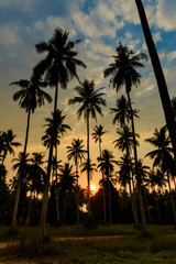 Obraz premium Tropical landscape of Koh Kood