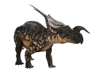 Fototapeta premium 3D Rendering Dinosaur Einiosaurus on White
