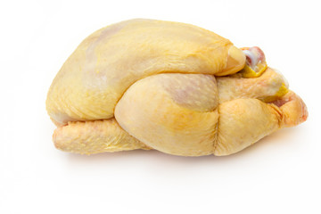 coquelet © ALF photo