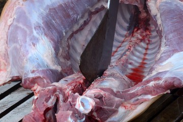 Pig slaughtering ceremony in the Hungarian countryside