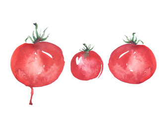     Watercolor red tomatoes on a white background. Art illustration, illustration, logo. Watercolor painting. 