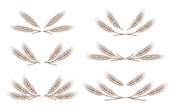 wheat ears design elements set