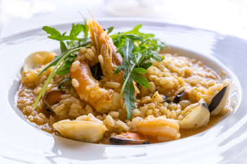 Tasty risotto with Shrimp, fresh herbs vegetables on a white plate