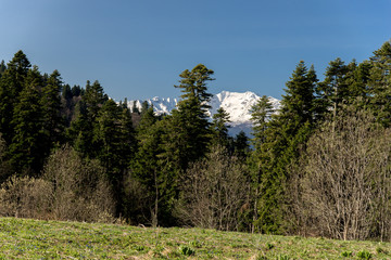 The mountain range of the Big Thach natural park. Adygea