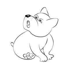 Основные RGB