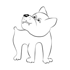 Основные RGB