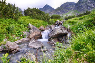 creek in mountain © Denis Tabler