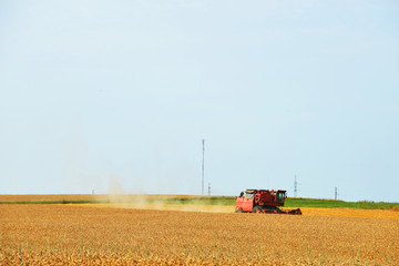  harvester on   field