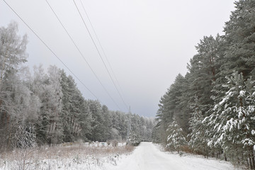  winter landscape