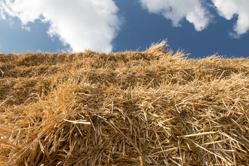 Fototapeta na wymiar detail stack straw at field after harvest