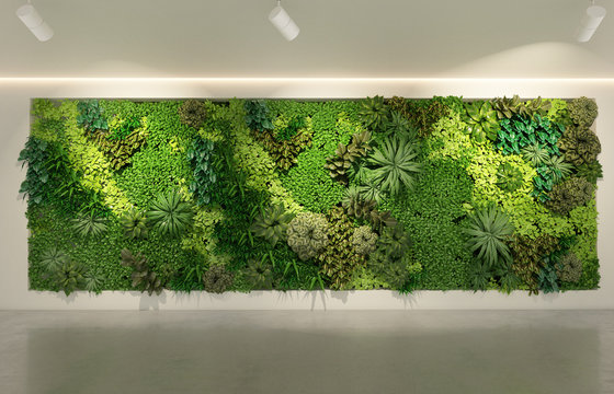 Green wall in modern office building