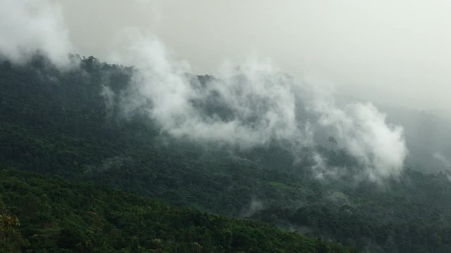 The Mist blowing up the forrest mountainat Phu Hin Rong Kla National Park , Thailand.