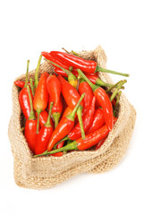 Many red peppers on white background    