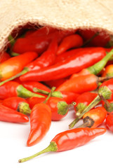 Many red peppers on white background    