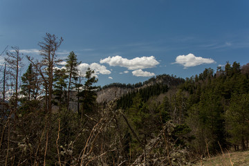 The mountain range of the Big Thach natural park. Adygea