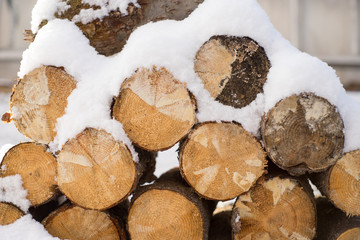 snow covered logpile