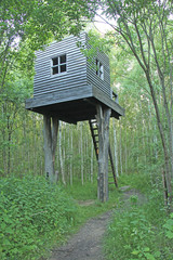 Russia, the Kaluga region, Nikola-Lenivets. A small magic house on a tree.