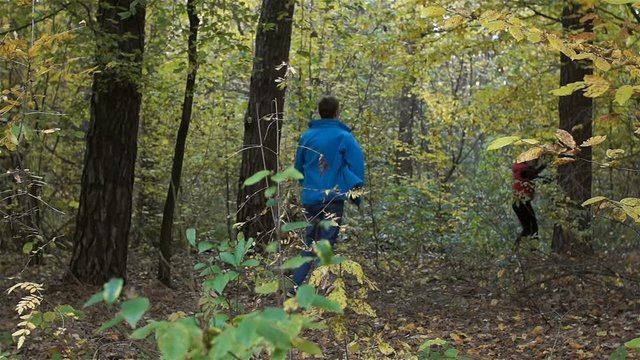 A woman and a man are playing catch-up in the trees. They laugh, fool around.